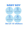 MONTHLY 12 Months Baby Boy Blue Polka Dots Stickers Milestone Stickers Age Clothes Newborn Stickers UK Matte - anniscrafts