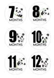 12 Months Panda Baby Clothes Stickers Milestone Age Monthly Baby Stickers One Suit Stickers Panda Theme Cute Baby Sticker Baby Shower Gift - anniscrafts